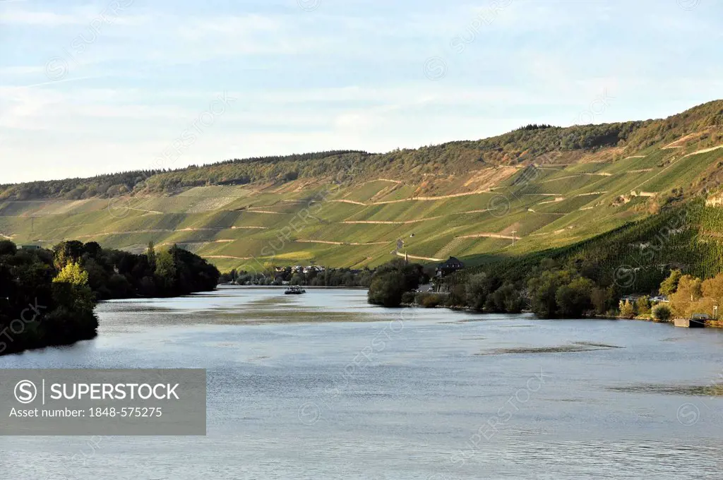 Moselle River near Bernkastel, Bernkastel-Kues, Rhineland-Palatinate, Germany, Europe