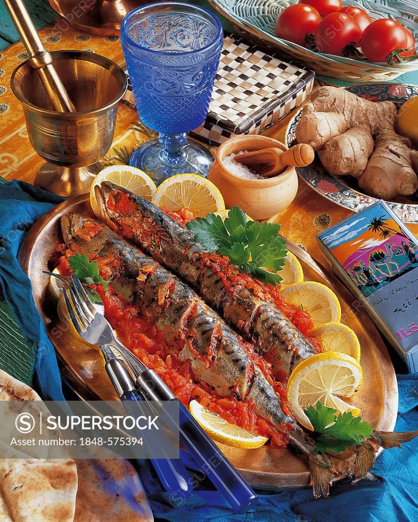 Algerian mackerel, Algeria