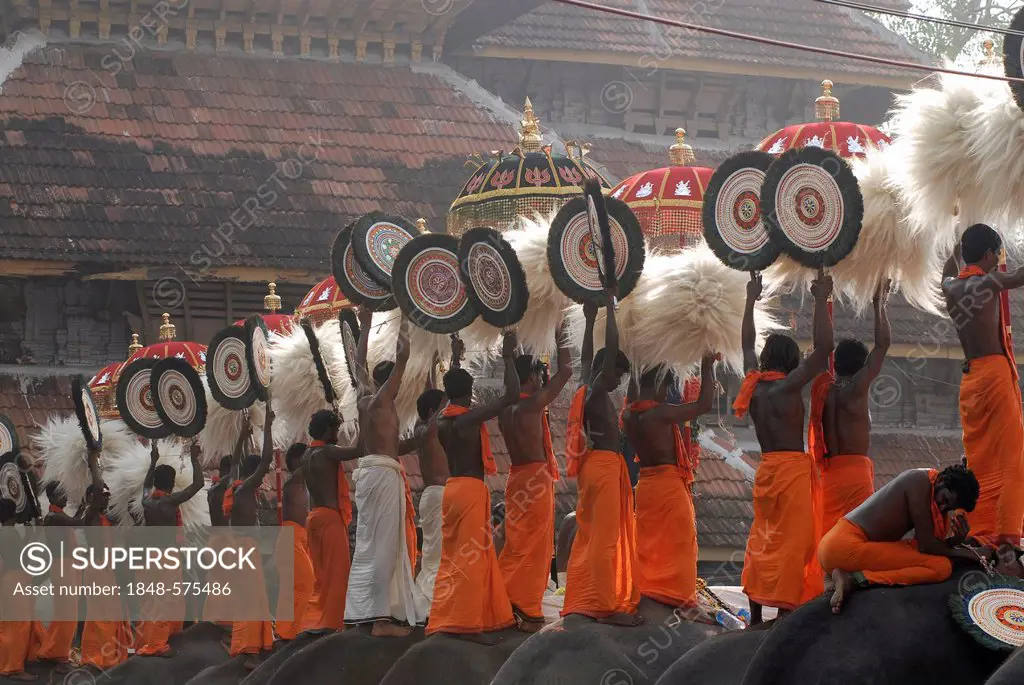 Pujaris standing on the backs of elephants, holding fans made of peacock feathers up in the air, Hindu Pooram festival, Thrissur, Kerala, southern Ind...