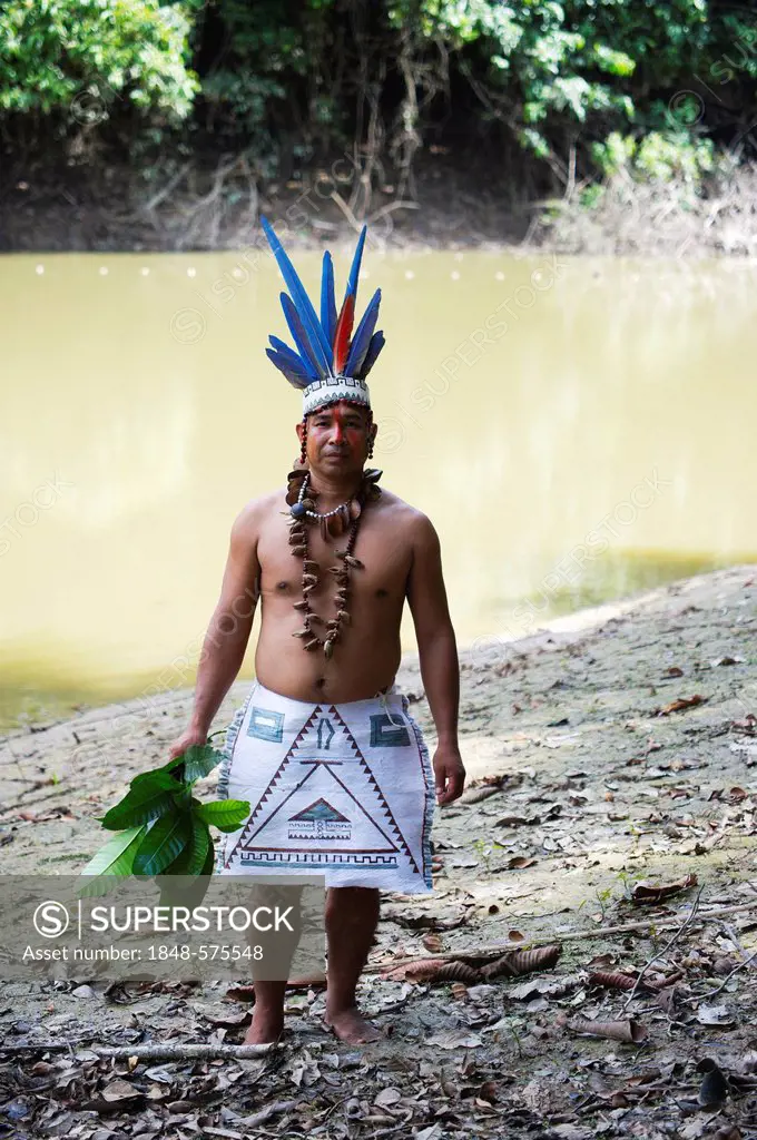 Guillermo Rodriguez Gomez, shaman of the Bora tribe, wearing macaw feather headdress worn during shamanic ceremonies, northern Amazon Basin, Peru, Sou...