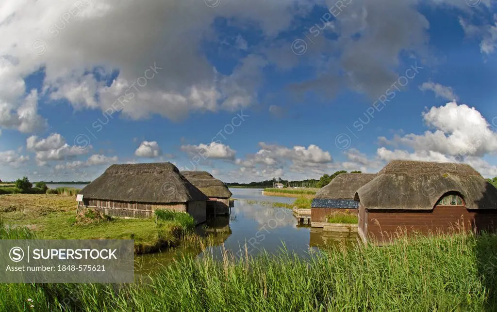 Thatched houses, Hickling Broad, Norfolk, England, United Kingdom, Europe