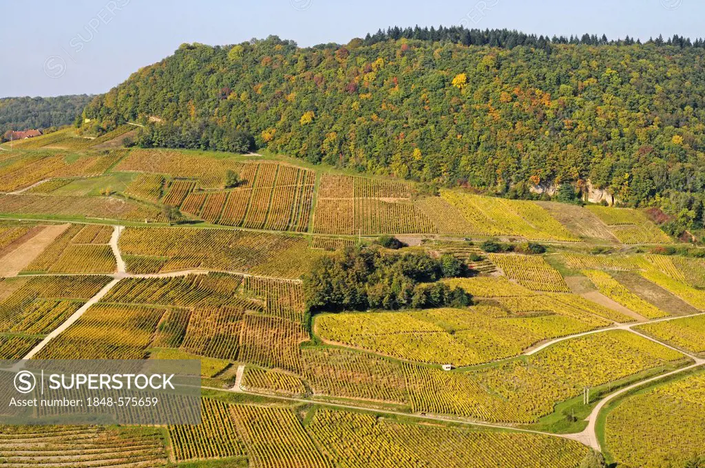 Vineyards, wine-growing region, Chateau-Chalon, Department of Jura, Franche-Comte, France, Europe, PublicGround