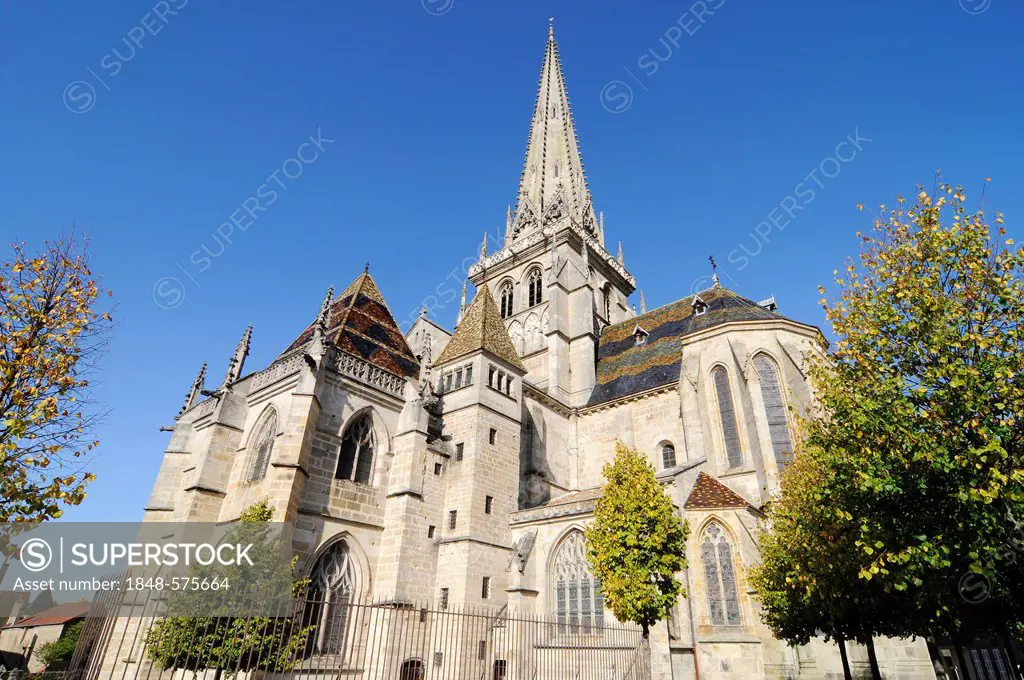 Saint-Lazare Cathedral, Autun, Department of Saone-et-Loire, Burgundy, France, Europe, PublicGround