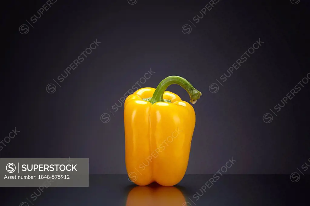 Yellow Bell Pepper (Capsicum annuum) on a dark glass surface