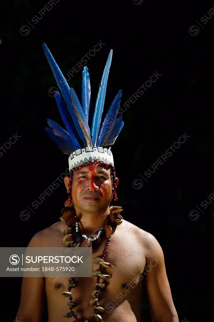 Guillermo Rodriguez Gomez, shaman of the Bora Tribe, northern Amazon Basin, wearing macaw feather headdress worn during shamanic ceremonies, Peru, Sou...