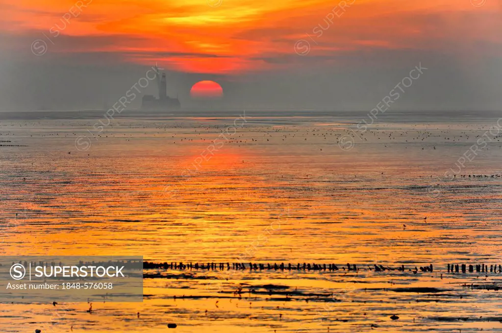 Sunset at the North Sea, Friedrichskoog, Schleswig-Holstein, Germany, Europe