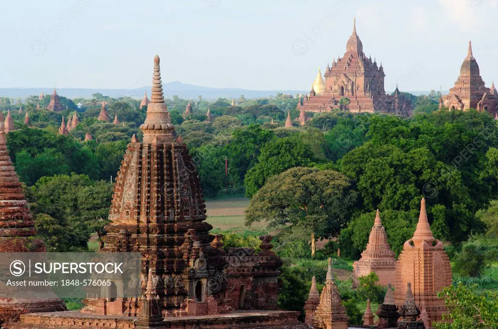 Pagoda field, temples, Zedi, Old Bagan, Pagan, Burma, Myanmar, Southeast Asia, Asia