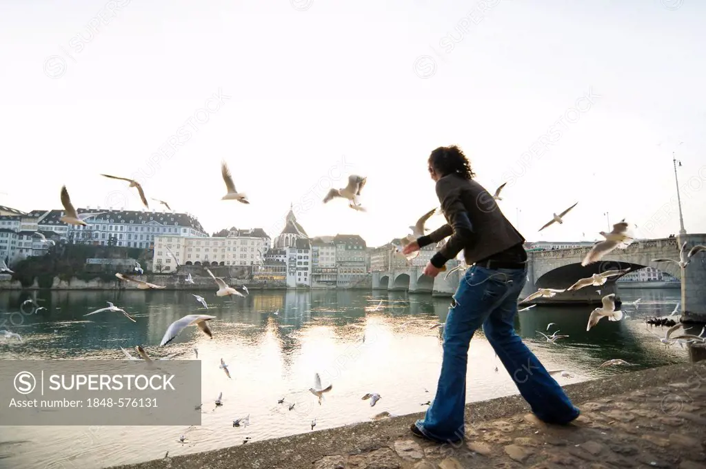 Young woman feeding gulls on the Rhine river, behind the old town, Basel, Switzerland, Europe