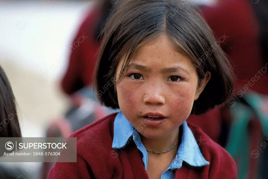 School girl at the morning assembly, a boarding school in Reru near Padum, Zanskar valley, Zanskar, Ladakh, Jammu and Kashmir, Indian Himalayas, north...