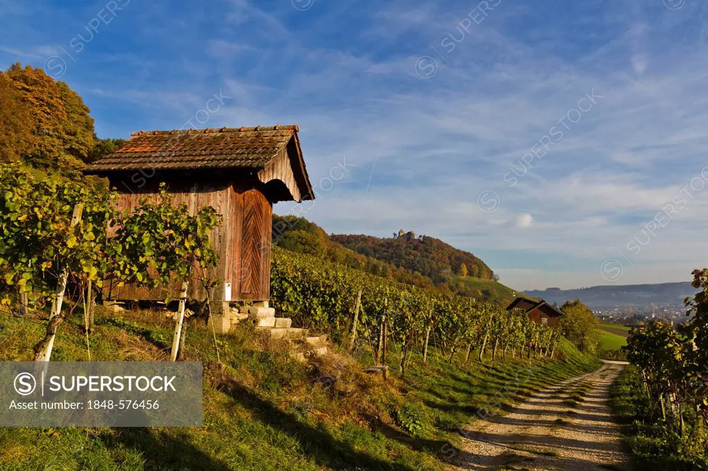 Hut in the vineyards of Stein am Rhein, Canton of Schaffhausen, Switzerland, Europe