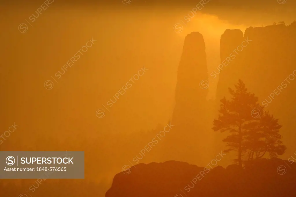 Rocks in the fog, Elbe Sandstone Mountains, Saxony, Germany, Europe
