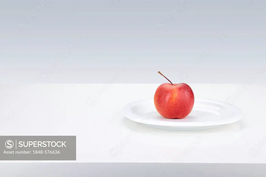 Red apple (Malus domestica), Boskoop variety, on a white plate