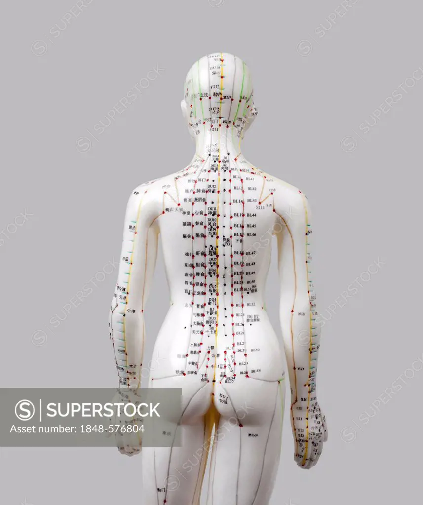 Acupuncture, female figure, acupuncture points marked and labelled with Chinese characters along the meridians, traditional Chinese medicine, TCM, bod...
