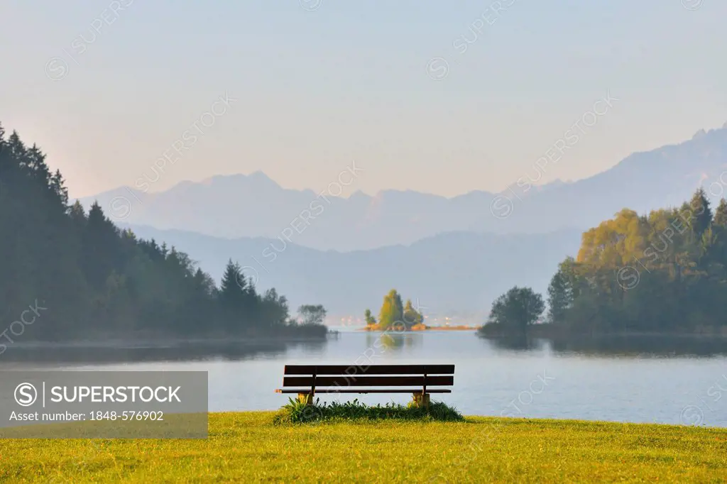 Bench on the shore of Lake Forggensee, morning mood, Allgaeu, Bavaria, Germany, Europe, composing