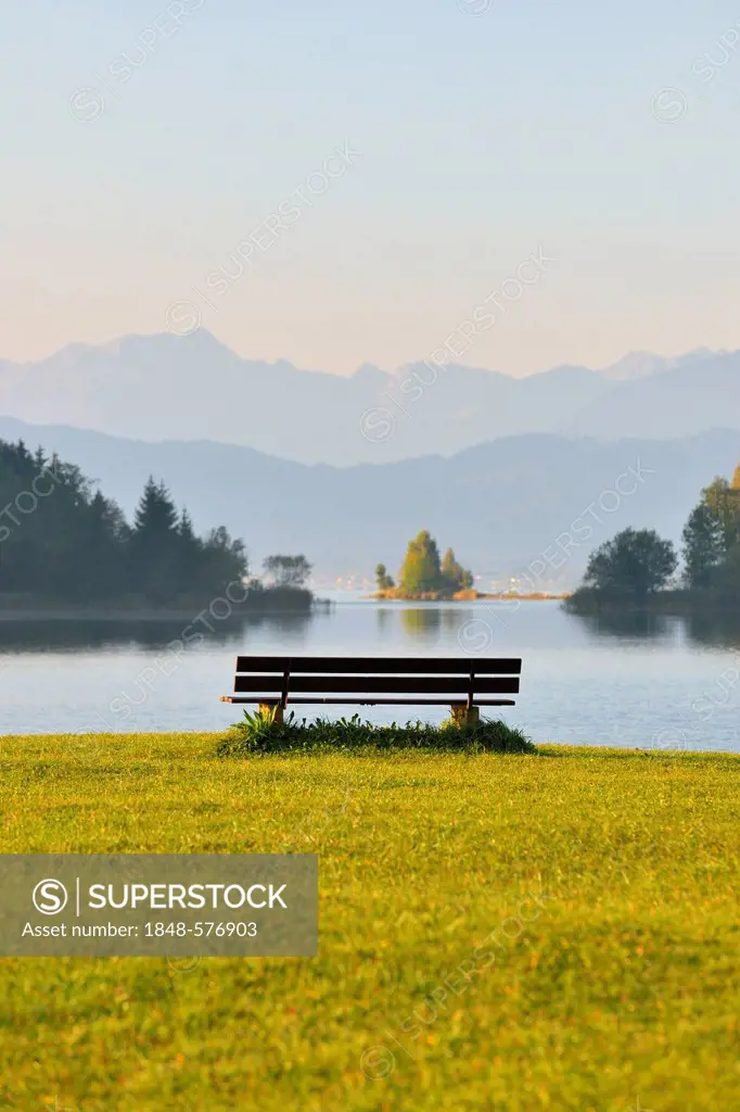 Bench on the shore of Lake Forggensee, morning mood, Allgaeu, Bavaria, Germany, Europe, composing