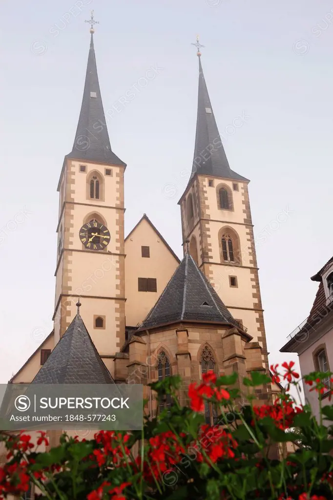 Town church of Bad Wimpfen, Neckar valley, Baden-Wuerttemberg, Germany, Europe