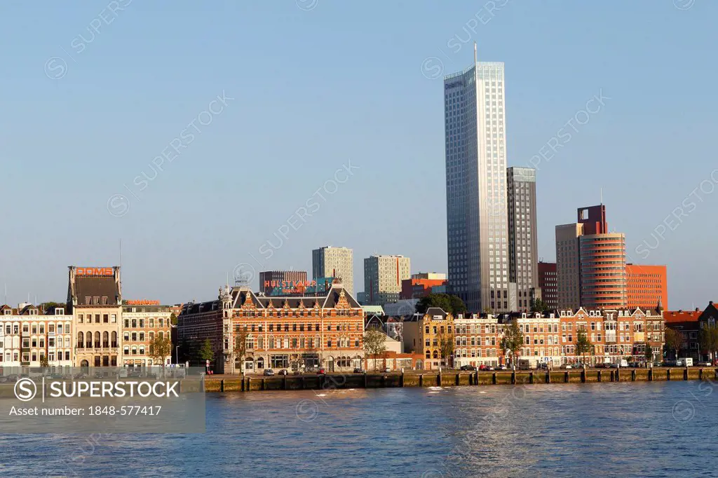 Banks of the Meuse or Maas River, Noordereiland district, Kop van Zuid district on the Meuse River, Rotterdam, Holland, the Netherlands, Europe