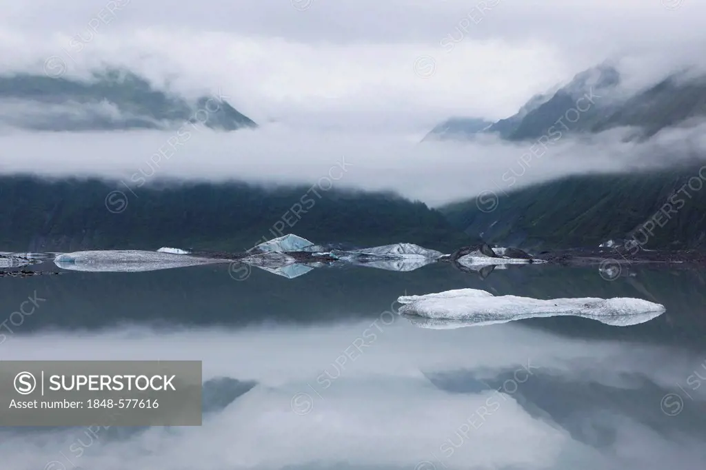 Ice floes on the Valdez Galcier lake, Valdez, USA, North America