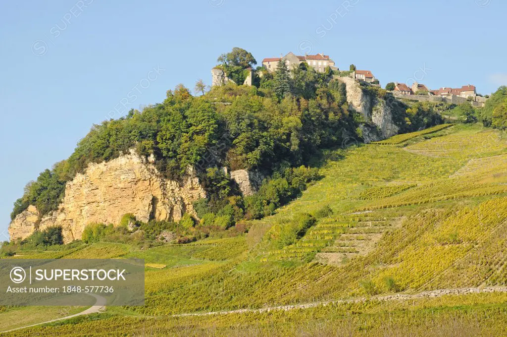 Vineyards, wine-growing region, village, community, Chateau-Chalon, Department of Jura, Franche-Comté, France, Europe, PublicGround