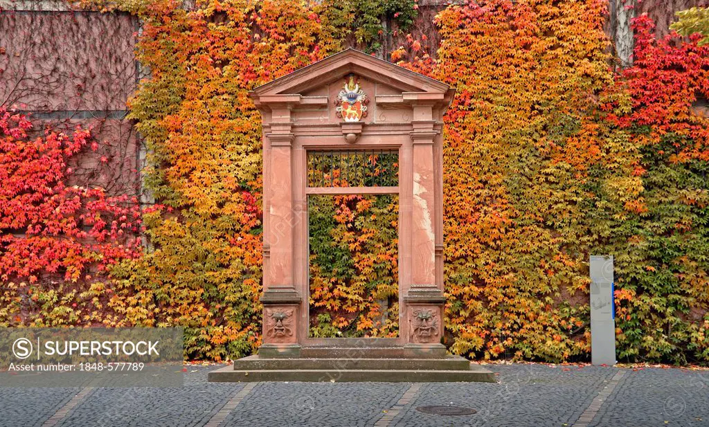 Gate with coat of arms, Heiliggrabgasse street, Mainz, Rhineland-Palatinate, Germany, Europe