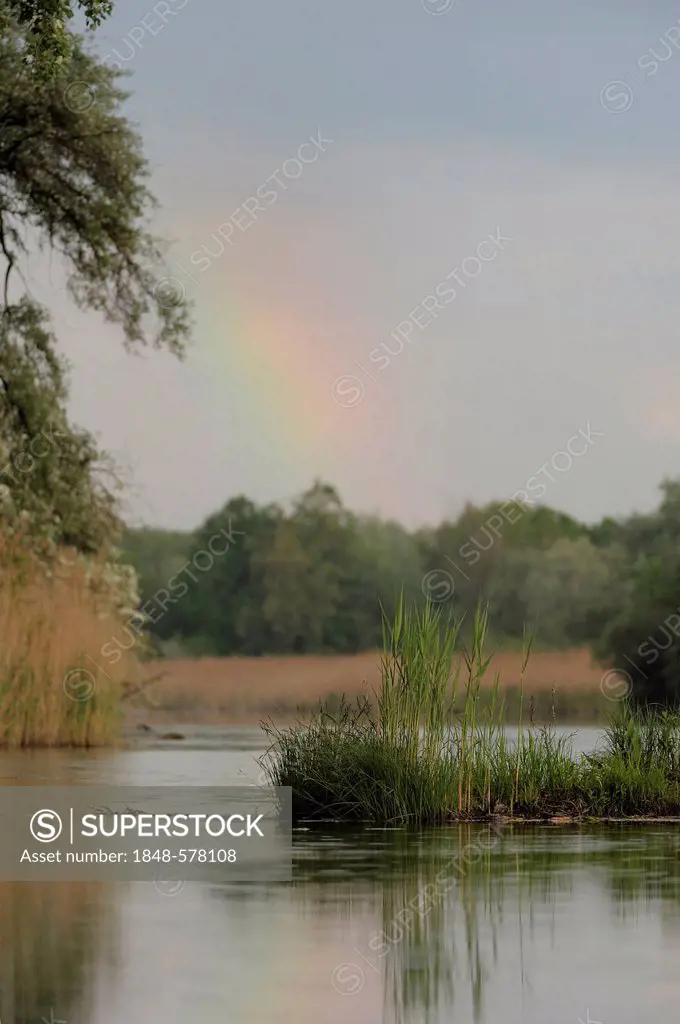 Rainbow, Danube-Auen National Park, Lower Austria, Austria, Europe