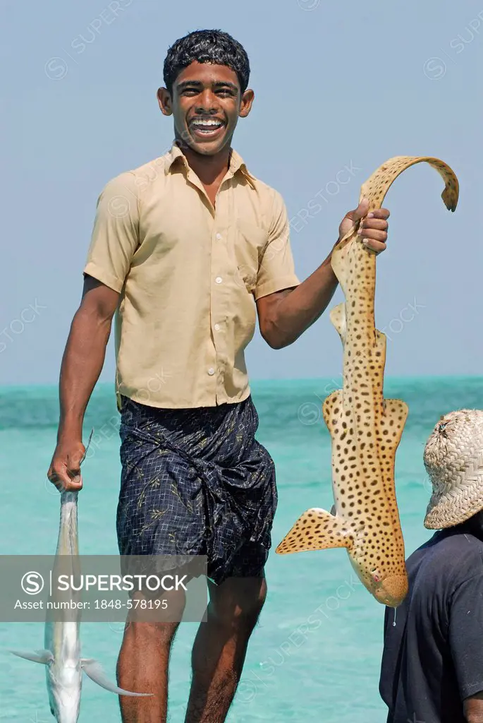 Fisherman holding a spotted shark, near Bangaram Island, Lakshadweep or Laccadive Islands, Arabian Sea, South India, India, Asia