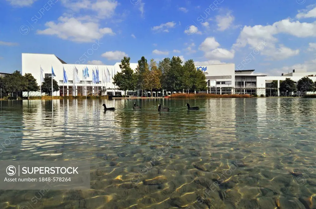 Neue Messe, New Munich Trade Fair Centre, Coot (Fulica atra) on lake, Munich, Bavaria, Germany, Europe