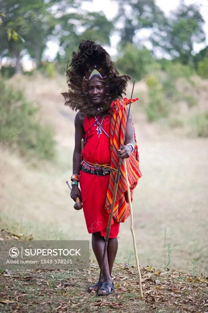 Kitkung Nampaso, a Masai Warrior wearing Ostrich feather headdress as worn during Euonoto ceremonies signifying the final stages of warriorhood, Masai...