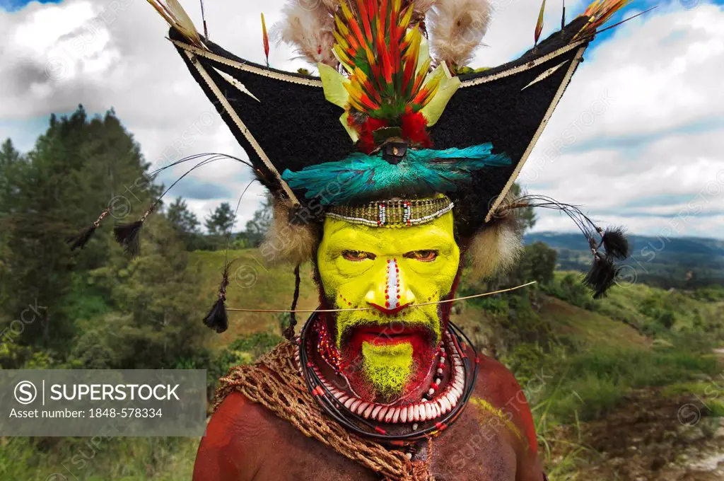 Timan Thumbu, a Huli Wigman, with headdress containing Superb Bird of Paradise, Papun Lorikeet, Lesser Bird of Paradise, Ribbon-tailed Astrapia, Lawes...