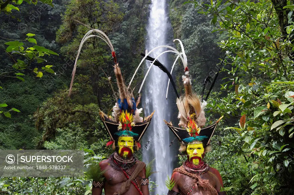 Huli Wigmen, Timan Thumbu and Hale Johu, feathers in headdresses include Superb Bird of Paradise breast shield, Papuan Lorikeet, Lesser Bird of Paradi...