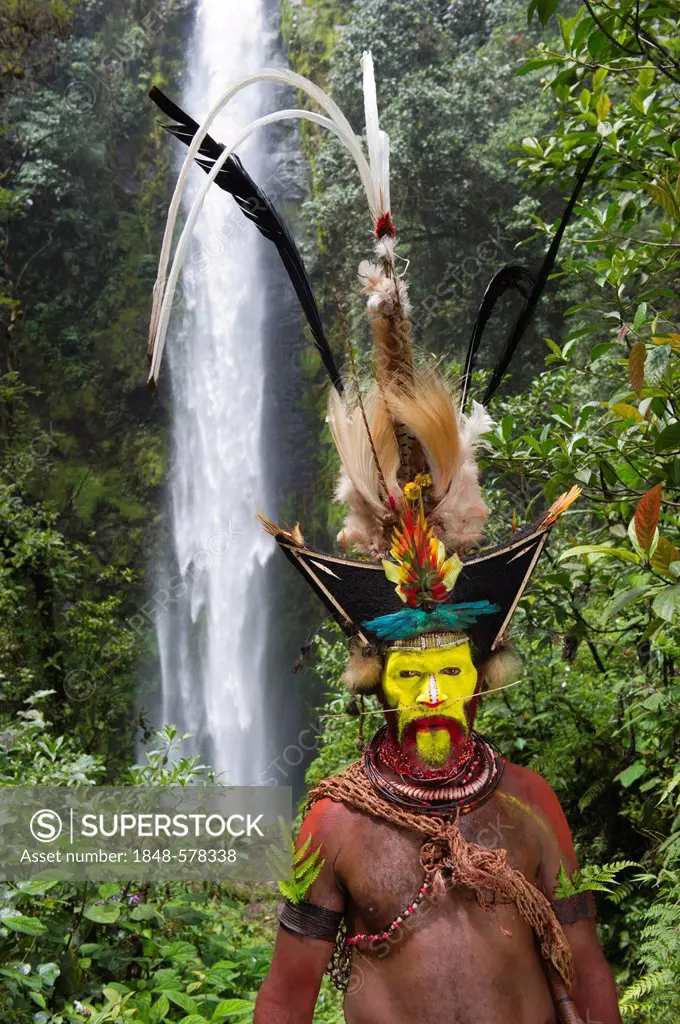 Timan Thumbu, a Huli Wigman, with headdress containing Superb Bird of Paradise, Papun Lorikeet, Lesser Bird of Paradise, Ribbon-tailed Astrapia, Lawes...