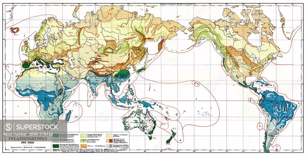 Historical map, map of distribution of plant groups on earth, summary of distribution of jungle, savanna, steppe, tundra, grassland, heathland, conife...