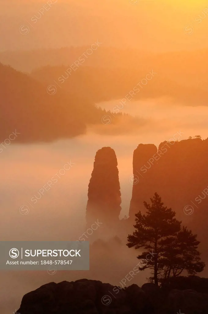 Blossstock rock in fog, Elbe Sandstone Mountains, Saxony, Germany, Europe