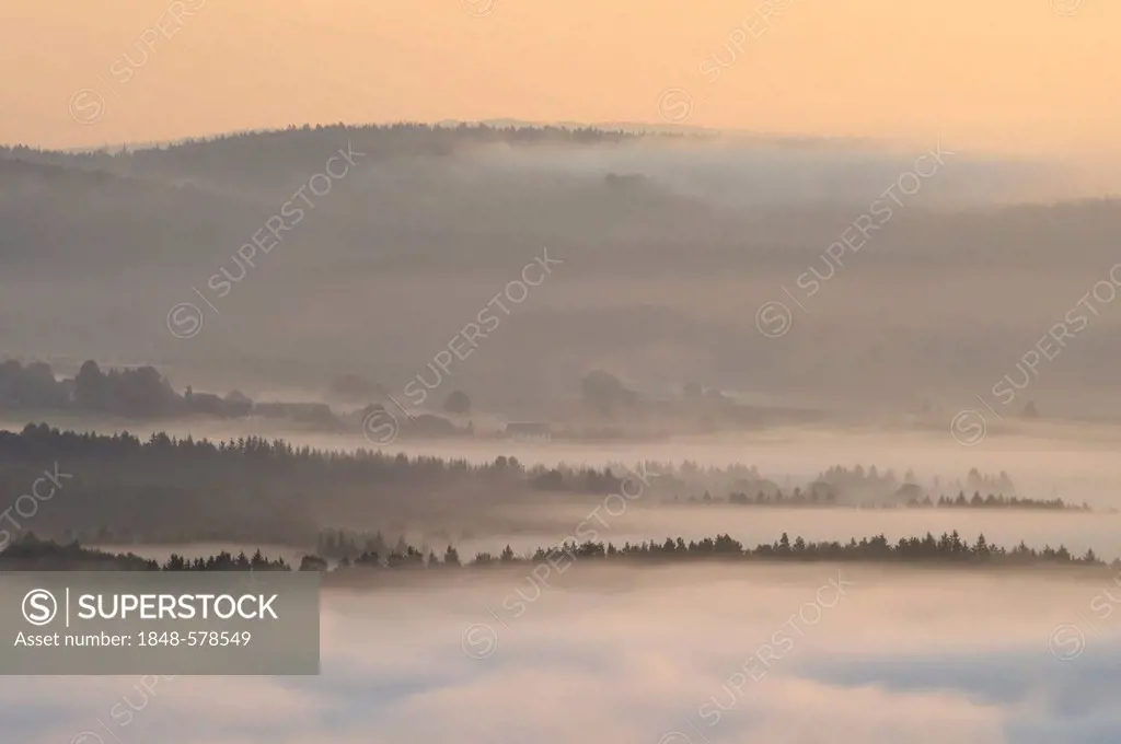 Fog in the Elbe Sandstone Mountains, Saxony, Germany, Europe