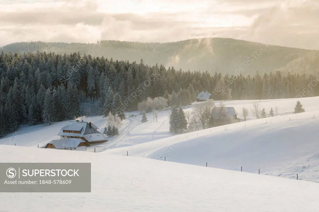 Snow-covered farms in winter, near Hofsgrund, Mt Schauinsland, Freiburg im Breisgau, Black Forest, Baden-Wuerttemberg, Germany, Europe