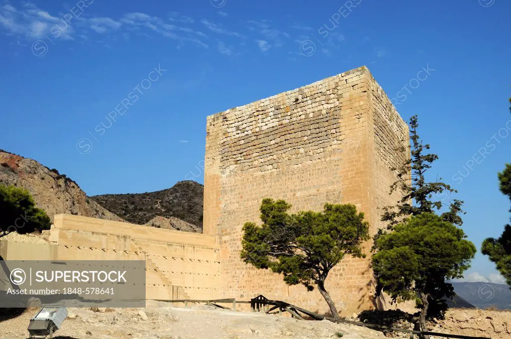 Ruins of La Mola's Castle, fortress from the Moorish era, Novelda, Costa Blanca, Spain, Europe