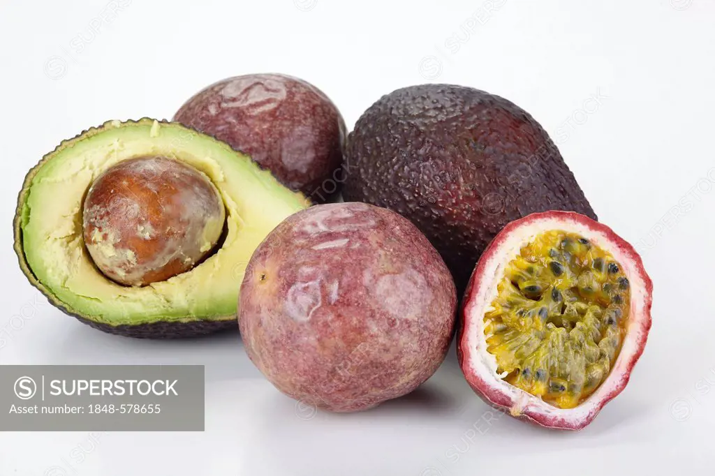 Avocado (Persea americana Mill. or Persea gratissima) and Passionfruit (Passiflora edulis)