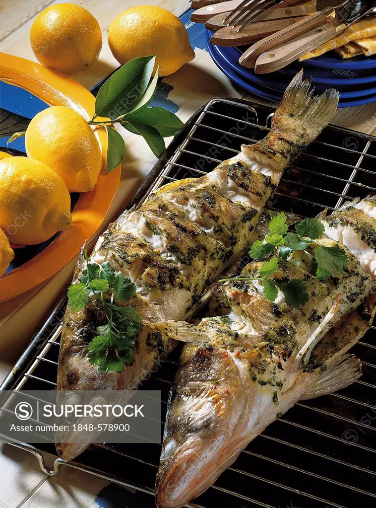 Grilled pike-perch, Egypt
