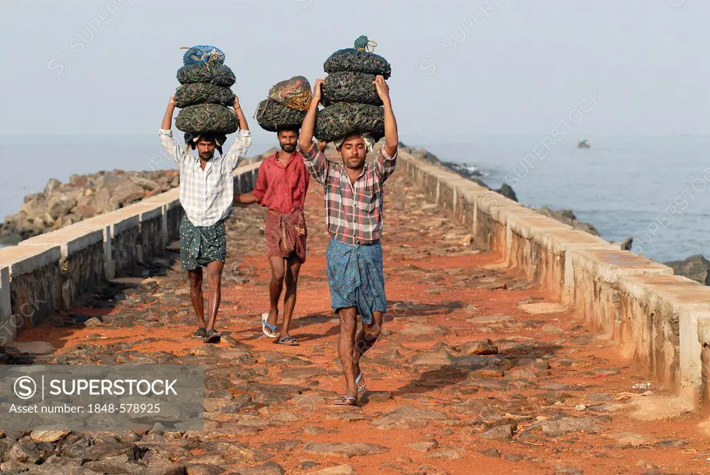 Fishermen carrying bags with shells on their heads, near Beypore, Kerala, Malabar Coast, southern India, Asia