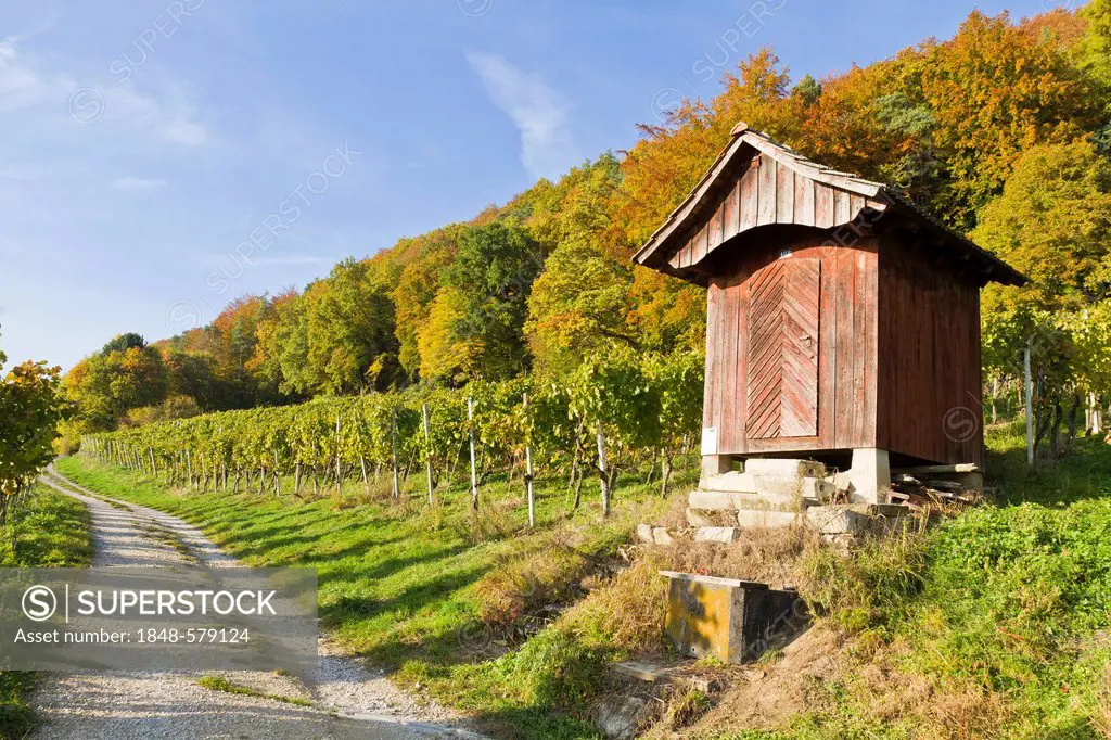 Hut in the vineyards of Stein am Rhein, Canton of Schaffhausen, Switzerland, Europe