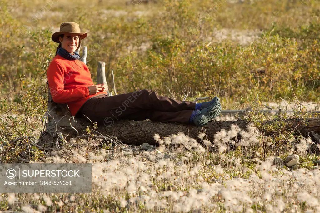 Young woman relaxing, enjoying evening light, sitting on a tree trunk, Cotton Grass, Wind River, Yukon Territory, Canada