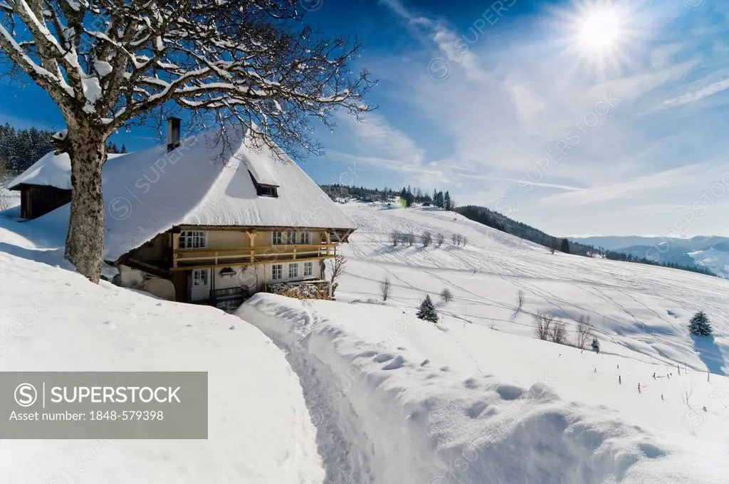 Snow-covered farmhouse in Muggenbrunn, Black Forest mountain range, Baden-Wuerttemberg, Germany, Europe