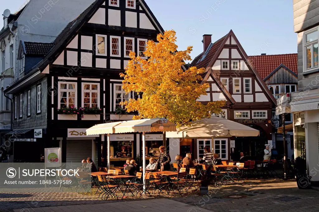 Sidewalk cafe and half-timbered houses in Detmold, North Rhine-Westphalia, Germany, Europe