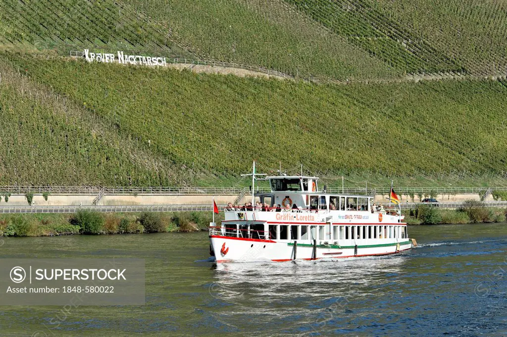 Graefin von Loretta, excursion ship, built 1969, commissioned 1993, wine growing region, Kroever Nacktarsch vineyards, Moselle river, Rhineland-Palati...