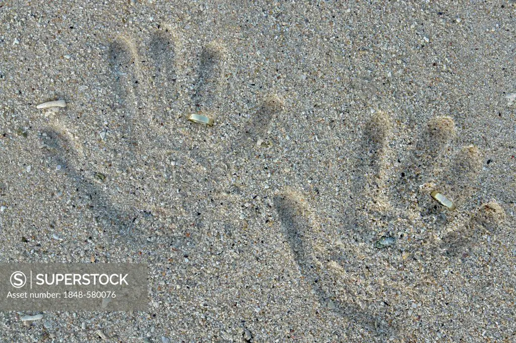 Wedding rings and hand prints in the sand on the beach of Pointe aux Piments, Mauritius, Africa