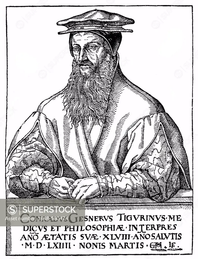 Historical engraving, portrait of Conrad Gesner, Konrad Gessner, Conrad Gessner, Conrad von Gesner or Conradus Gesnerus, 1516-1565, Swiss physician, n...