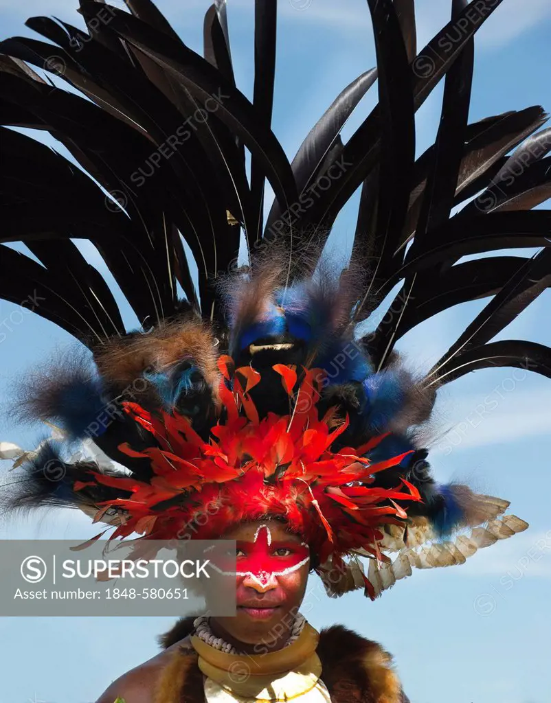 Performer from Jiwaka tribe, wearing headdress with Blue Bird of Paradise and Black Sicklebill feathers, at Mt Hagen show, Western Highlands, Papua Ne...
