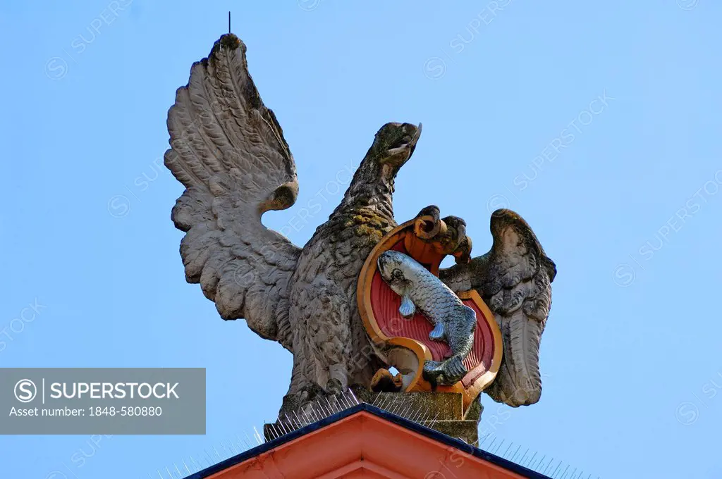 Sculpture of the Imperial Eagle and coat of arms on the neoclassical town hall, 1784, Marktplatz square, Gengenbach, Baden-Wuerttemberg, Germany, Euro...