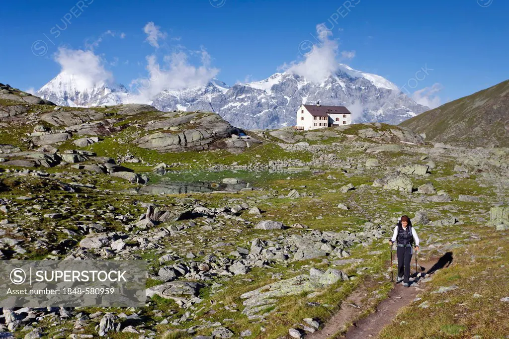 Hiker in front of Rifugio Serristori, Duesseldorferhuette cabin, view of Mt Ortles, Mt Monte Zebru and Mt Gran Zebru, above Solda, Sulden, Val di Sold...