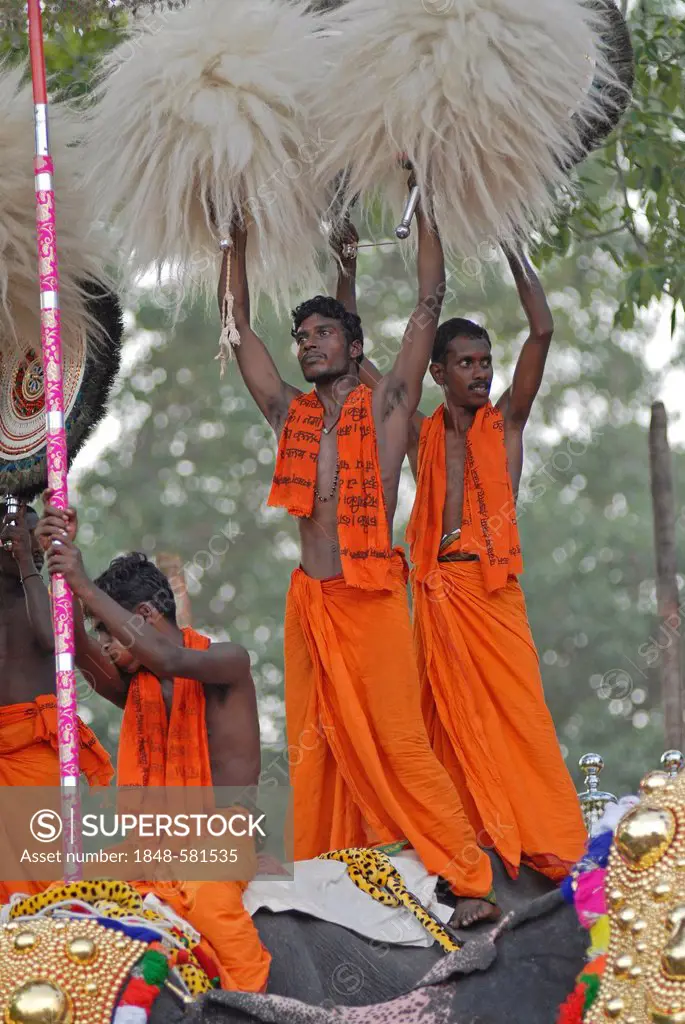 Pujaris standing on the back of an elephant, holding fans made of peacock feathers up in the air, Hindu Pooram festival, Thrissur, Kerala, southern In...